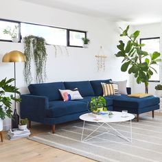 a living room filled with furniture and plants