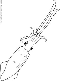 a squid with long tentacles and big eyes coloring pages for kids, free printable