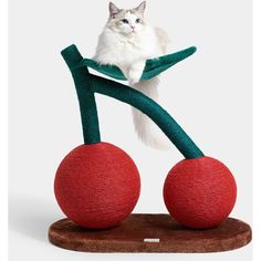 a white cat sitting on top of a red ball with two green stems attached to it