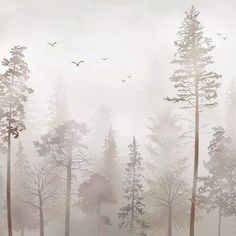 a foggy forest filled with lots of trees and birds flying over the top of them