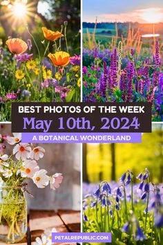 the best photos of the week for may 10th, 2014 are featured in this postcard