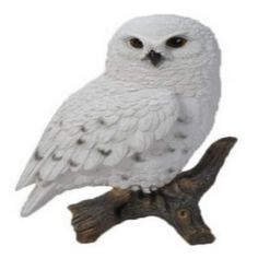 a white owl sitting on top of a tree branch