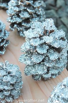 some very pretty silver flowers on a piece of wood with snow flakes all over them