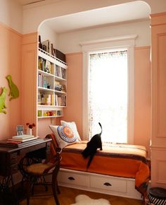 a cat is standing on top of a bed in a room with pink walls and furniture