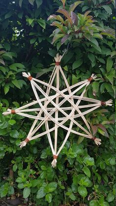 a wooden star ornament sitting on top of a lush green forest covered in leaves