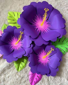 purple flowers with green leaves on white carpet