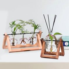 three glass vases with plants in them sitting on a shelf next to some books