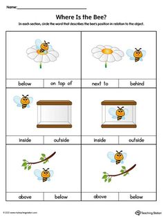 worksheet with pictures of bees and flowers