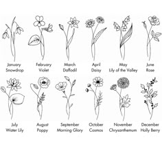 the different types of flowers are shown in black and white, with each flower's name