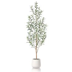 PRICES MAY VARY. Sturdy Planter: Artificial olive tree is planted in a white 9 inch imitation ceramic planter filled with sturdy cement for stability. The green faux moss of the planter enhances the realism and makes this fake olive plant perfect for any decor style More Realistic: Featuring a trunk made from natural wood, this faux olive tree adds a genuine touch. The leaves have a lifelike texture, and the vivid fruits enhance your home decor with an incredibly realistic look Easy Maintenance: Fake Olive Tree, Plants For Home Office, Artificial Olive Tree, Olive Plant, Faux Moss, Artificial Plants Indoor, Faux Olive Tree, Tree Artificial, Olive Leaves