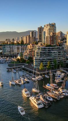 many boats are docked in the water near tall buildings and high rise apartment blocks, with mountains in the background