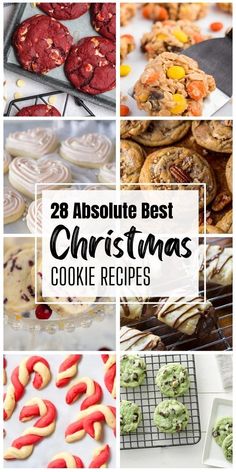 🎁🍪 Delicious #ChristmasCookies to elevate your #HolidayBaking game. Perfect for gifts or your dessert table! 🎄✨ Thumbprint Cookies With Icing, The Best Christmas Cookies, Best Christmas Cookie Recipes, Iced Oatmeal Cookies, Pinwheel Cookies, Best Christmas Cookie Recipe, Turtle Cookies, Christmas Cookie Recipes, Hot Chocolate Cookies