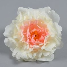 a white and pink flower on a gray background