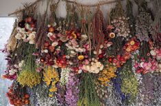 a bunch of flowers hanging from the side of a wall