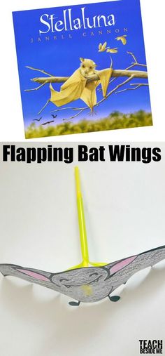 there is a book about flapping bat wings