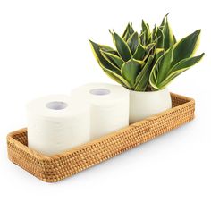 two rolls of toilet paper are sitting on a bamboo tray next to a potted plant