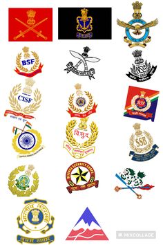 several different types of badges and emblems on a white background, all in various colors