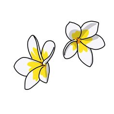 two yellow and white flowers on a white background