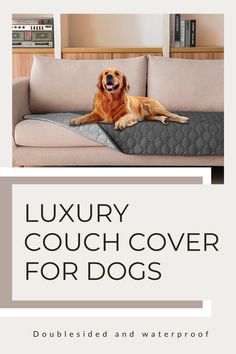 a dog laying on top of a couch with the words luxury couch cover for dogs