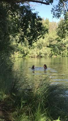 two people swimming in a lake surrounded by trees and grass, with one person floating in the water