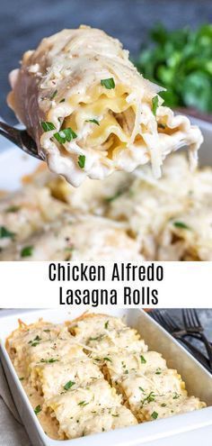 chicken alfredo lasagna rolls on a white plate and in a casserole dish