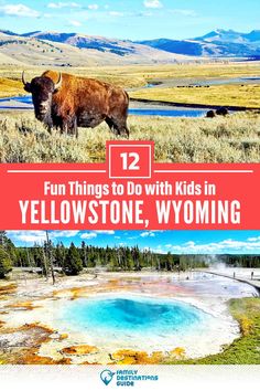 an animal that is standing in the grass with text overlay reading fun things to do with kids in yellowstone, wyoming