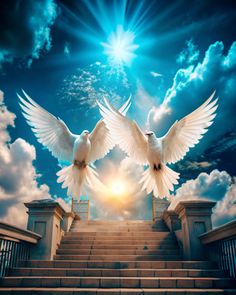 two white doves flying in the sky over some steps with stairs leading up to them