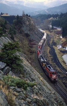 a train traveling down tracks next to a lush green hillside covered in trees and bushes