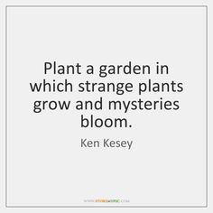 a quote that says plant a garden in which strange plants grow and mysteries bloom