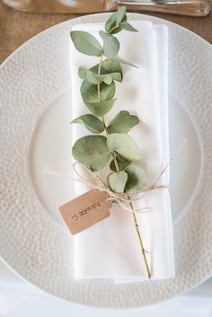 a white plate topped with a green leafy plant next to a tag that says home