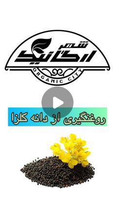 ‎شهر ارگانیک‎ on Instagram‎: "بهترین روغن کلزا رو از ما بخر 😍

روغن کلزا یک روغن عالی برای پخت و پز و سرخ کردن ☘️
تهیه شده از دانه کلزا با کیفیت و تازه👌
.
شهر ارگانیک ، تولید کننده انواع روغن های خوراکی در حضور مشتری 
.
.
برای ثبت سفارش دایرکت پیام بدید.
.
لایک و کامنت یادت نره ❤️
.
#شهر_ارگانیک  #روغنگیری #کره_گیری #روغن_کلزا #کلزا #کانولا #خوراکی #روغن"‎ Instagram