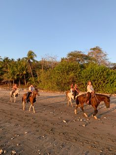 four people are riding horses on the beach in front of some trees and bushes, while another person is walking behind them