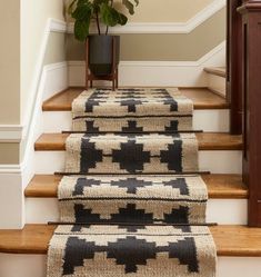 a set of stairs with rugs on the bottom, and a potted plant next to it