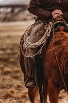 a man riding on the back of a brown horse in a field with dry grass