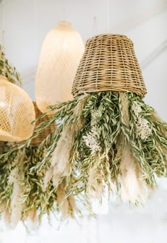 dried herbs hanging from wicker lamps in a store