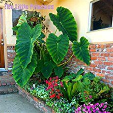 a planter filled with lots of flowers next to a brick wall