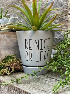 a potted plant with the words be nice or leave on it next to other plants