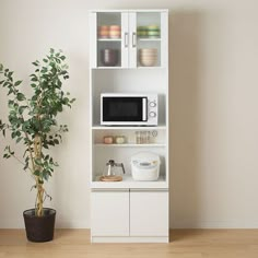 a white microwave oven sitting on top of a cabinet next to a potted plant