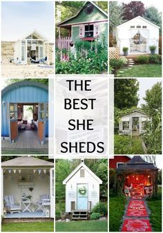 the best she sheds in the world