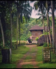 an old house in the middle of some trees and grass with a dirt path leading to it