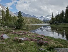 a mountain lake surrounded by trees and flowers