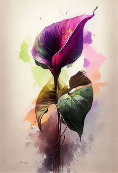 Purple Anthurium - Flower Art Print - Botanical Watercolors Illustration - Instant Digital Download - Printable Wall Art - Home Decor After the purchase; you will receive a pdf file with a google drive link to access 6, scaleable, high-resolution 300dpi JPG files in ratios to suit all of the sizes listed below. From the provided ratios, you can scale to virtually any frame size. Ratio 2:3 / 3:4 / 4:5 / 5:7 / 11:14 / 11:16 DOWNLOADING INSTRUCTIONS Downloads are available once your payment is confirmed. If you paid with PayPal or a credit card on Etsy, confirmation might take a few minutes. To download a digital file, please sign in to Etsy on your mobile browser or a non-mobile computer (you can't download a digital purchase through the Etsy app at this time). IF YOU HAVE AN ETSY ACCOUNT: a Anthurium Flower Tattoo, Pictures Of Flowers To Paint, Purple Anthurium, Anthurium Illustration, Anthurium Watercolor, Flowers To Paint, Violet Watercolor Flower, Violet Flower Botanical Illustration, Pictures Of Flowers