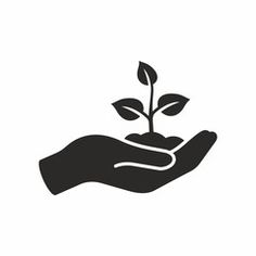 a hand holding a plant with leaves