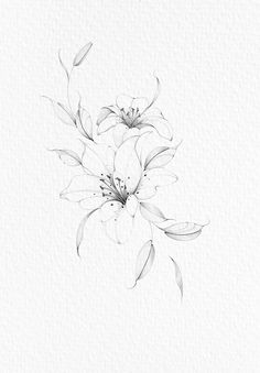 black and white drawing of flowers on paper