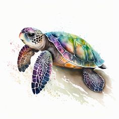 a painting of a sea turtle in watercolor