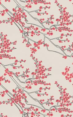 Wallpaper Japanese, Blossom Wallpaper, Japanese Designs, Cherry Blossom Wallpaper, Murals Wallpaper, Style Wallpaper, Cherry Blossom, Blossom, Cherry