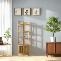 a living room scene with focus on the corner shelf and potted plant next to it