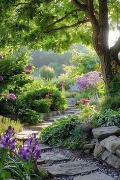 a garden with rocks, flowers and trees in the sun shining through the leaves on the tree