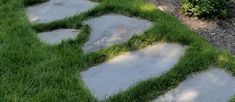 a stone path with grass growing on the sides