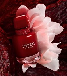 Givenchy L'interdit Rouge Ultime. Givenchy Perfumes Revlon Fire And Ice, Givenchy Fragrance, Sandalwood Perfume, Woody Perfume, Fragrance Library, Pheromone Perfume, Shade Of Red, Fragrance Collection